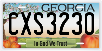 GA license plate CXS3230