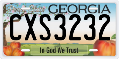 GA license plate CXS3232