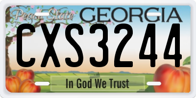 GA license plate CXS3244