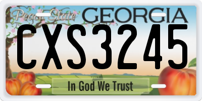GA license plate CXS3245