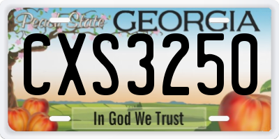 GA license plate CXS3250