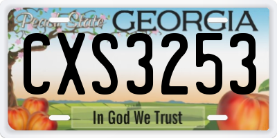 GA license plate CXS3253