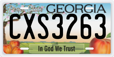 GA license plate CXS3263