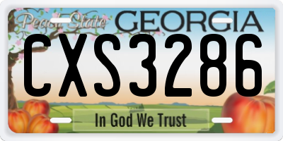 GA license plate CXS3286