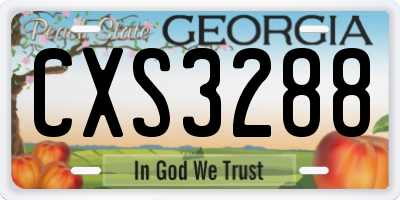 GA license plate CXS3288
