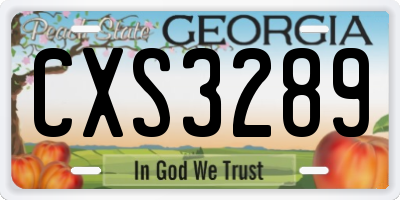 GA license plate CXS3289