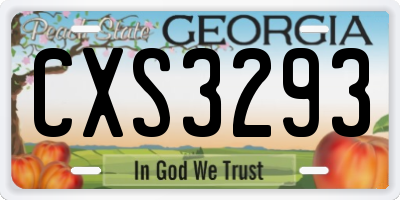 GA license plate CXS3293