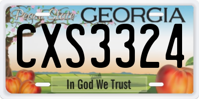 GA license plate CXS3324