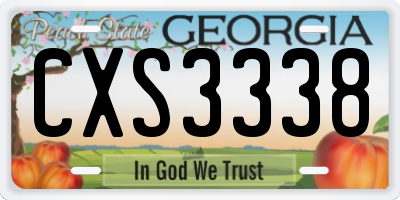 GA license plate CXS3338