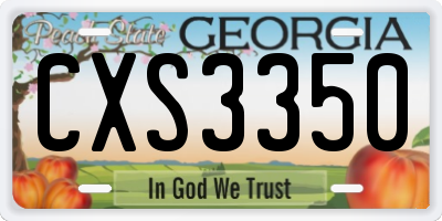 GA license plate CXS3350