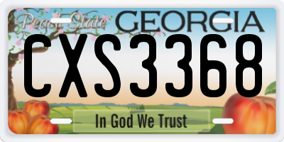 GA license plate CXS3368