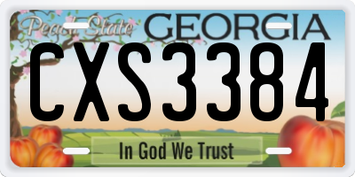 GA license plate CXS3384