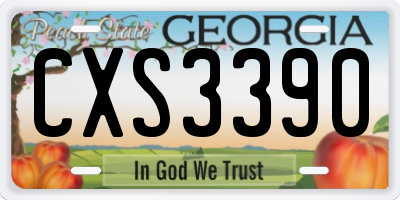 GA license plate CXS3390