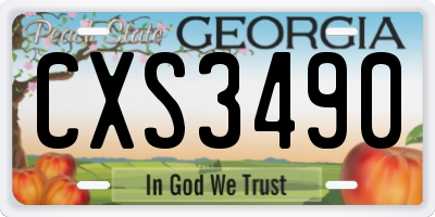 GA license plate CXS3490