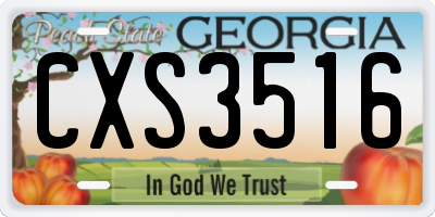 GA license plate CXS3516