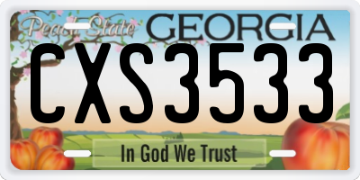 GA license plate CXS3533