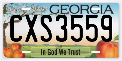 GA license plate CXS3559