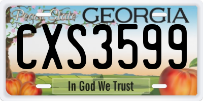 GA license plate CXS3599