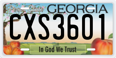 GA license plate CXS3601