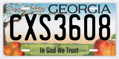 GA license plate CXS3608