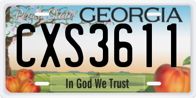 GA license plate CXS3611