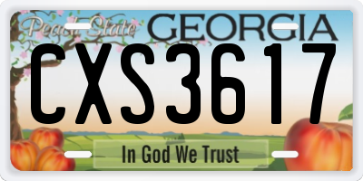 GA license plate CXS3617