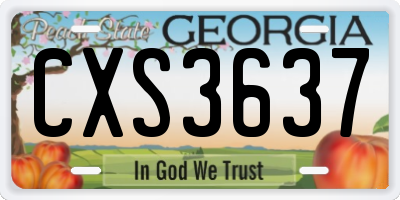 GA license plate CXS3637