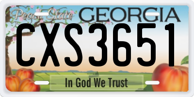 GA license plate CXS3651