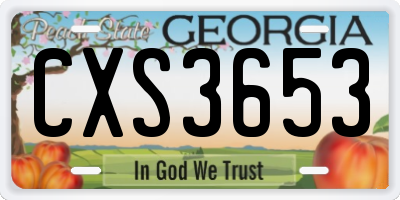 GA license plate CXS3653