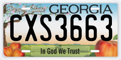 GA license plate CXS3663