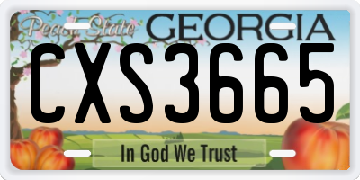 GA license plate CXS3665