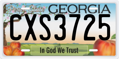 GA license plate CXS3725