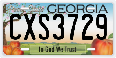 GA license plate CXS3729