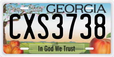 GA license plate CXS3738