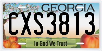 GA license plate CXS3813