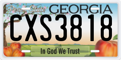 GA license plate CXS3818