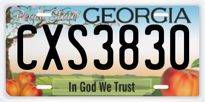 GA license plate CXS3830