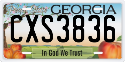GA license plate CXS3836