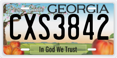 GA license plate CXS3842