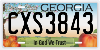 GA license plate CXS3843