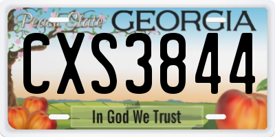 GA license plate CXS3844