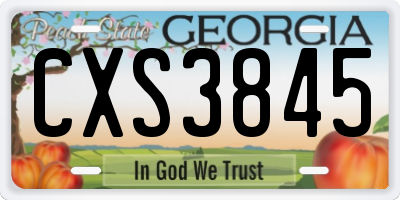 GA license plate CXS3845