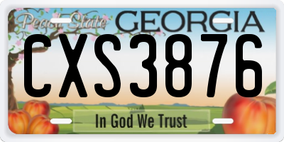 GA license plate CXS3876