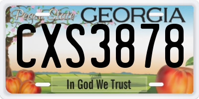 GA license plate CXS3878