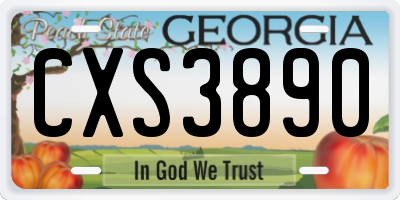 GA license plate CXS3890