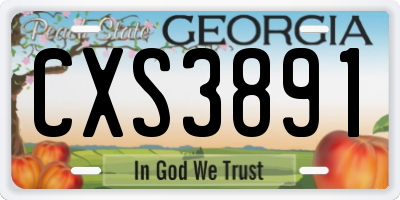 GA license plate CXS3891