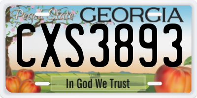 GA license plate CXS3893