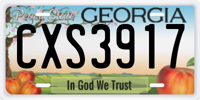 GA license plate CXS3917