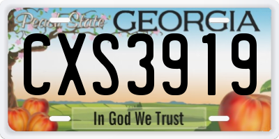 GA license plate CXS3919