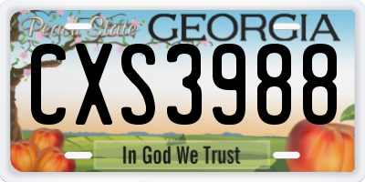GA license plate CXS3988